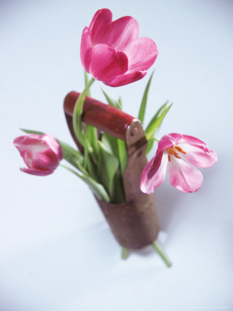 Pink Tulips by Tony Scarpetta Pricing Limited Edition Print image