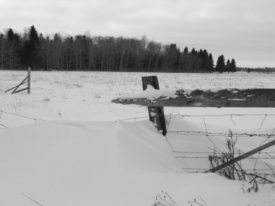 Snow Scene, Gimli, Manitoba by Keith Levit Pricing Limited Edition Print image