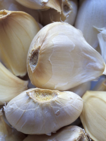 Cloves Of Garlic by Fogstock Llc Pricing Limited Edition Print image