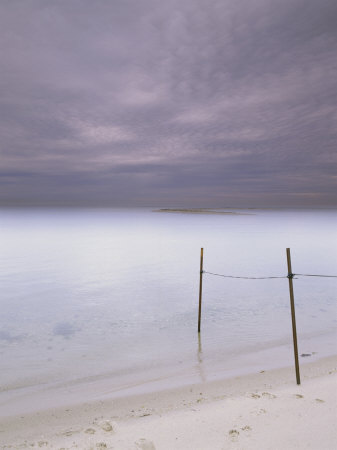 Metal Fence Poles On Beach, Nantucket, Ma by Gareth Rockliffe Pricing Limited Edition Print image