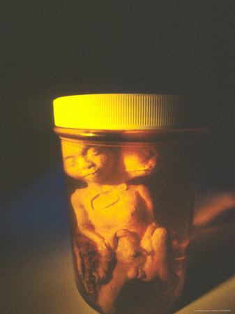 Alien Babies In Jar by Fogstock Llc Pricing Limited Edition Print image