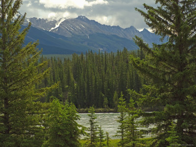 Maligne Lake, Jasper National Park, Canada by Keith Levit Pricing Limited Edition Print image