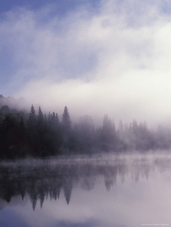 Foggy Lake And Forest by Fogstock Llc Pricing Limited Edition Print image