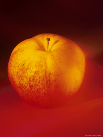 Apple by Fogstock Llc Pricing Limited Edition Print image