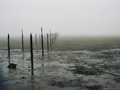 Old Mill Pier by Dane Holweger Pricing Limited Edition Print image