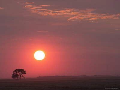 Sunset Over Land, Manitoba Prairie Scenes by Keith Levit Pricing Limited Edition Print image