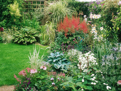 Small Suburban Garden Borders, Pond, Lawn, Mary Paynes Garden, Somerset by Mark Bolton Pricing Limited Edition Print image
