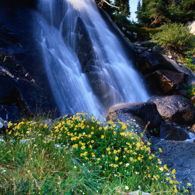 Wildflowers In Front Of Waterfall, Sierra Nevada, Ansel Adams Wilderness Area, Usa by Wes Walker Pricing Limited Edition Print image