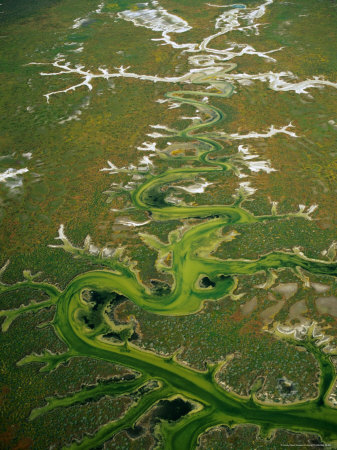 Wetlands At Carrizo Plain, California, Usa by Jim Wark Pricing Limited Edition Print image