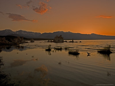 Mono Lake At 6400 Feet, Usa by Bob Gibbons Pricing Limited Edition Print image