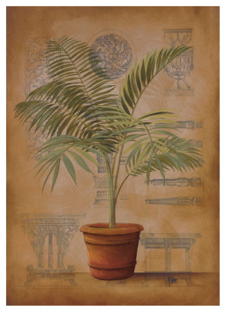 Palm And Furniture Ii by Wilbur Pricing Limited Edition Print image
