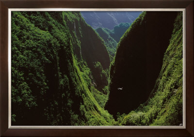 Gorges Du Bras De Caverne by Yann Arthus-Bertrand Pricing Limited Edition Print image