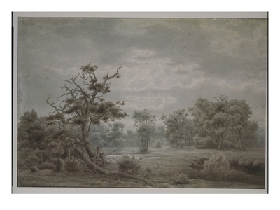 Forest Landscape From Dusseldorf, 1853 (Pen And Ink And W/C On Paper) by Lars Hertevig Pricing Limited Edition Print image