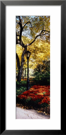 Lamppost In A Park, Central Park, Manhattan, New York City, New York, Usa by Panoramic Images Pricing Limited Edition Print image