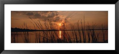 Lake Travis At Sunset, Austin, Texas by Panoramic Images Pricing Limited Edition Print image