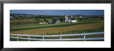 Farmhouse In A Field, Amish Farms, Lancaster County, Pennsylvania, Usa by Panoramic Images Pricing Limited Edition Print image