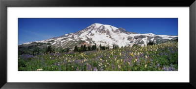 Snowcapped Mountain On A Landscape, Mt Rainier, Mt Rainier National Park, Washington, Usa by Panoramic Images Pricing Limited Edition Print image