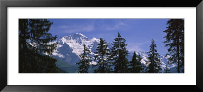 Mountains Covered With Snow, Swiss Alps, Wengen, Bernese Oberland, Switzerland by Panoramic Images Pricing Limited Edition Print image