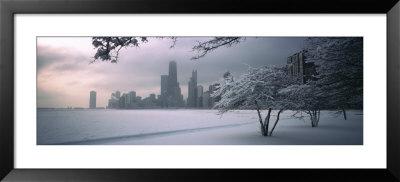 Snow Covered Tree At North Avenue Beach, Chicago, Illinois, Usa by Panoramic Images Pricing Limited Edition Print image
