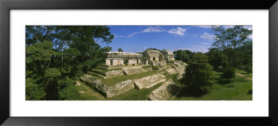 Ruins Of A Palace, Palenque, Chiapas, Mexico by Panoramic Images Pricing Limited Edition Print image
