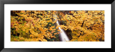 Horsetail Falls, Columbia River Gorge National Scenic Area, Usa by Panoramic Images Pricing Limited Edition Print image