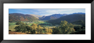 Trees On The Mountainside, Borrowdale, Lake District, England by Panoramic Images Pricing Limited Edition Print image