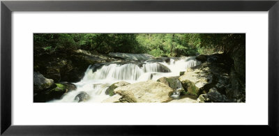 River Flowing Through The Forest, Nantahala National Forest, North Carolina, Usa by Panoramic Images Pricing Limited Edition Print image