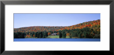 Trees Along The Red House Lake, Alleghany State Park, New York, Usa by Panoramic Images Pricing Limited Edition Print image