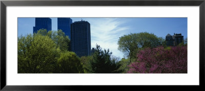Skyscrapers Viewed From A Park, Central Park, Manhattan, New York, Usa by Panoramic Images Pricing Limited Edition Print image