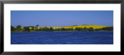 Lake In Front Of A Rape Field, Holstein, Schleswig-Holstein, Germany by Panoramic Images Pricing Limited Edition Print image