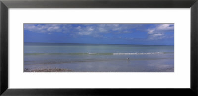 Waves On The Beach, Crescent Beach, Gulf Of Mexico, Siesta Key, Florida, Usa by Panoramic Images Pricing Limited Edition Print image