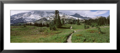 Path, Mazama Ridge, Mt. Rainier National Park, Mt. Rainier, Washington, Usa by Panoramic Images Pricing Limited Edition Print image