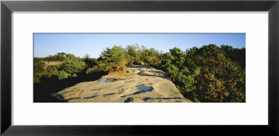 Trees Surrounding The Natural Bridge, Daniel Boone National Forest, Kentucky, Usa by Panoramic Images Pricing Limited Edition Print image