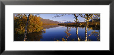 Reflection Of Trees And Mountains In A River, Vistas River, Nikkaluokta, Lapland, Sweden by Panoramic Images Pricing Limited Edition Print image