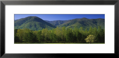 Mountains In A National Park, Great Smoky Mountains National Park, Tennessee, Usa by Panoramic Images Pricing Limited Edition Print image