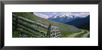 Wooden Fence In A Field, Tirol, Austria by Panoramic Images Pricing Limited Edition Print image