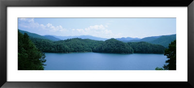 Trees Surrounding A Lake, Fontana Lake, North Carolina, Usa by Panoramic Images Pricing Limited Edition Print image