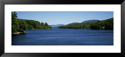 Trees On Both Sides Of A Lake, Long Lake, Adirondack State Park, New York State, Usa by Panoramic Images Pricing Limited Edition Print image