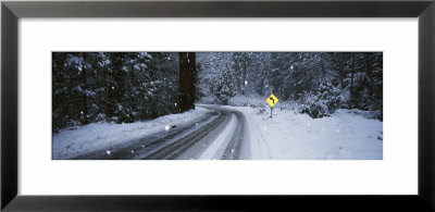 Arrow Sign At The Roadside In A Forest, Yosemite National Park, California, Usa by Panoramic Images Pricing Limited Edition Print image