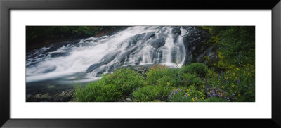 Waterfall In The Forest, Mt. Rainier National Park, Washington State, Usa by Panoramic Images Pricing Limited Edition Print image
