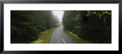 Two Lane Highway Running Through A Forest, Park Loop Road, Acadia National Park, Maine, Usa by Panoramic Images Pricing Limited Edition Print image