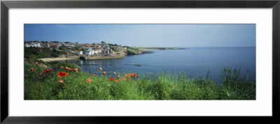Town At The Waterfront, Crail, Fife, Scotland by Panoramic Images Pricing Limited Edition Print image