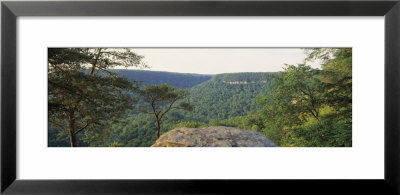 Milligans Overlook, Creek Falls State Park, Pikesville Fall, Tennessee, Usa by Panoramic Images Pricing Limited Edition Print image