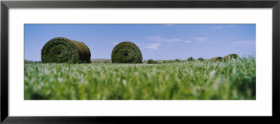 Rolled Up Sods In A Field by Panoramic Images Pricing Limited Edition Print image