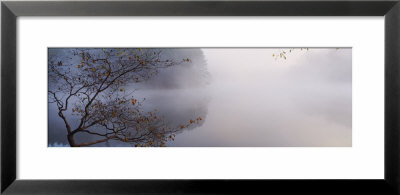 Reflection Of Trees In A Lake, Lake Vesuvius, Wayne National Forest, Ohio, Usa by Panoramic Images Pricing Limited Edition Print image