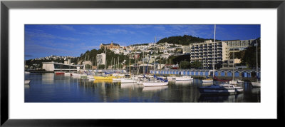 Boats At A Harbor, Oriental Parade, Wellington, North Island New Zealand by Panoramic Images Pricing Limited Edition Print image