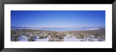 Snow Covered Landscape Around A Lake, Mono Lake, California, Usa by Panoramic Images Pricing Limited Edition Print image