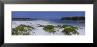 Grass On The Beach, Fort De Soto Park, Tierra Verde, Florida, Usa by Panoramic Images Pricing Limited Edition Print image