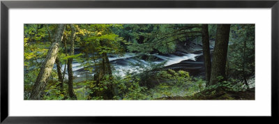 River Flowing Through The Forest, Presque Isle River, Porcupine Mountains, Michigan, Usa by Panoramic Images Pricing Limited Edition Print image