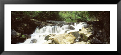 River Flowing Through The Forest, Chattooga River, Nantahala National Forest, North Carolina, Usa by Panoramic Images Pricing Limited Edition Print image